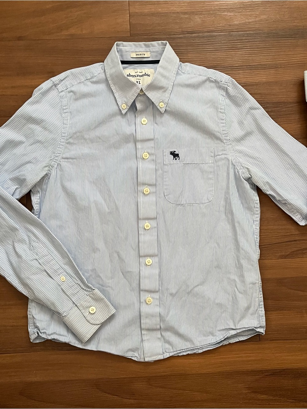 Abercrombie Kids Button Down Long Sleeve - Youth XL
